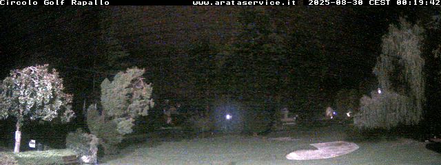 Camera Live Image