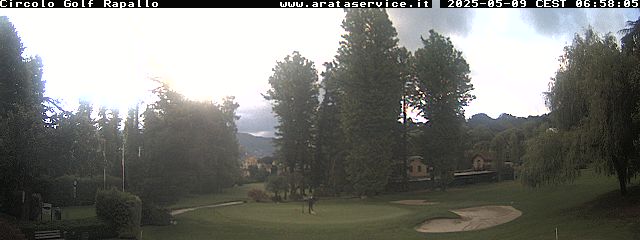 Camera Live Image