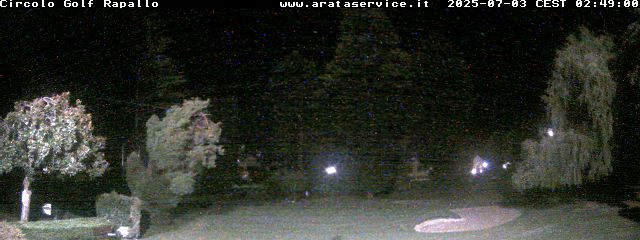 Camera Live Image